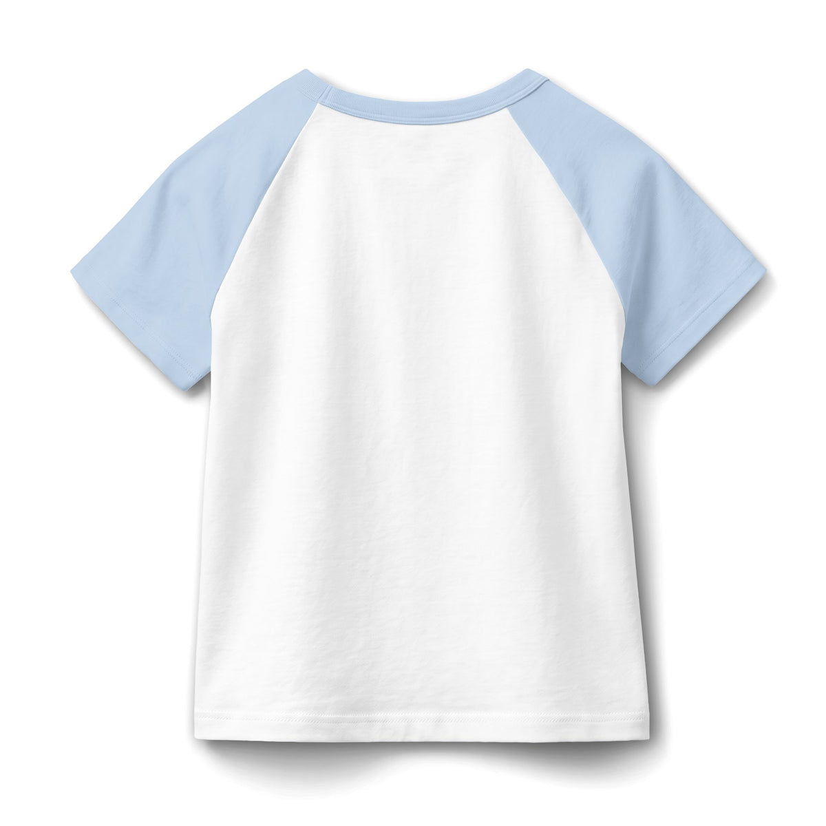 Eucalyptus & Wildflowers | Women's Micro Rib Raglan Baby Tee | Magnetica
