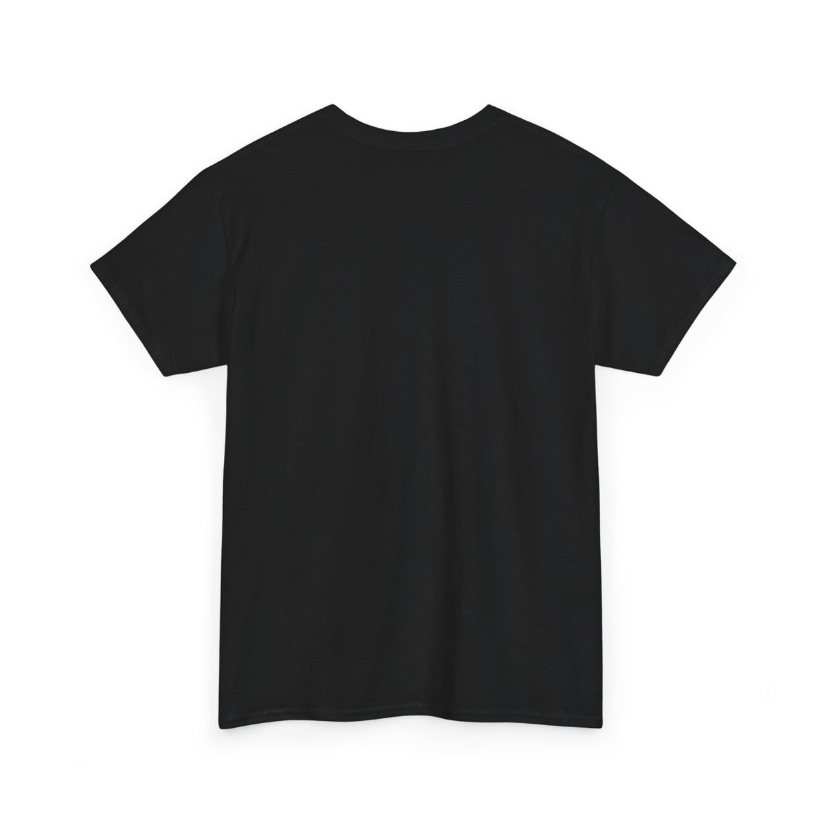 Faith Over Fear — Adult Christian T-Shirt | Black & White